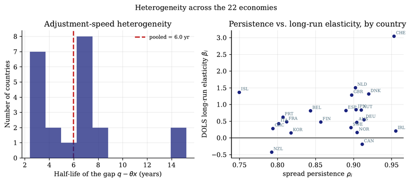 Figure 7. Left: distribution of per-country half-lives of the productivity gap. Right: per-country spread persistence against the DOLS long-run elasticity.